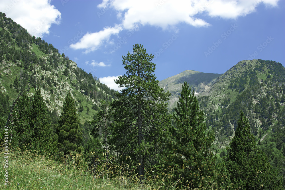 The picturesque mountain landscape The picturesque mountain landscape