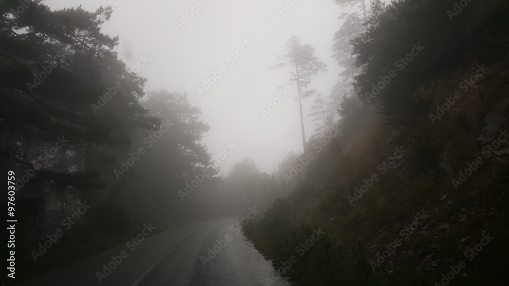 Fototapeta premium Road in fog