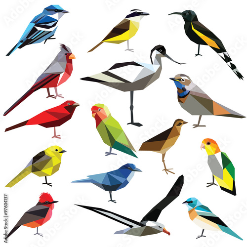 Birds-set colorful birds low poly design isolated on white background.
Albatross,Bluethroat,Warbler,Cardinal,Kiskadee,Tanager,Bunting,Oahu,Avocet,Jay,Lovebird,Flycatcher,Caique,Rail,Mohua. photo