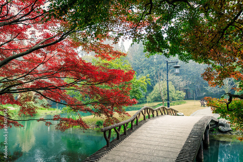Obraz na plátně Beautiful maple leaves and Small bridge in Chinese garden during Fall season