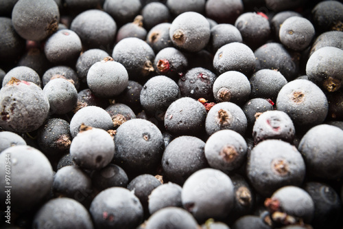 frozen berries of black currant