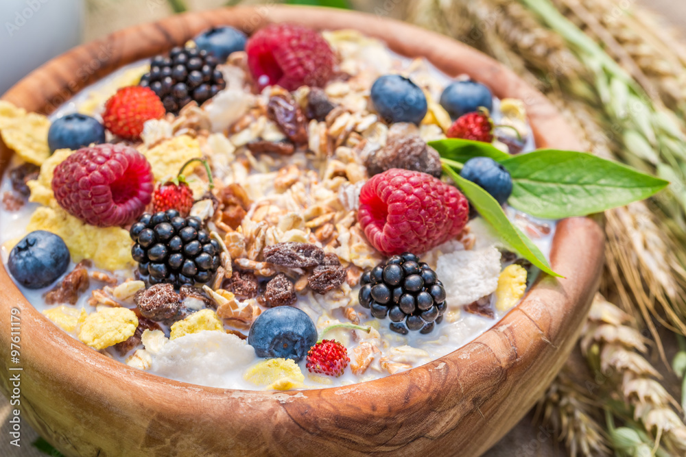 Fresh granola with berry fruits and milk in garden