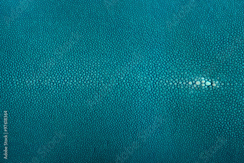 Murais de parede stingray leather, Turquoise color