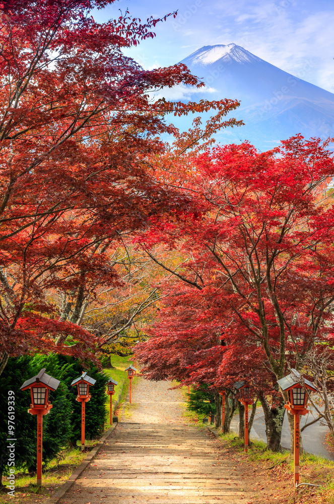 Fototapeta premium Path to Mt. Fuji in autumn, Fujiyoshida, Japan