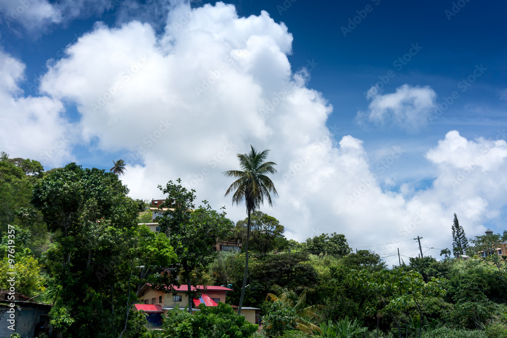 Houses on hill against cumulus clouds, Trinidad, Trinidad And Tobago