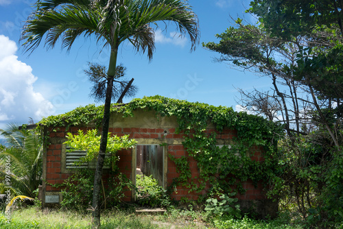 Old abandoned house along with trees and creeper plants, Trinidad, Trinidad and Tobago