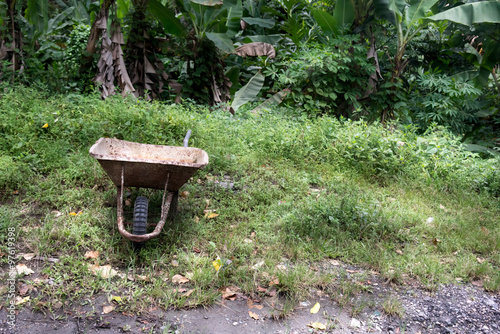 Wheelbarrow and banana tree in the background, Trinidad And Tobago