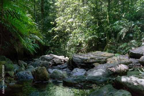 Stream amidst rocks in forest, Trinidad, Trinidad and Tobago