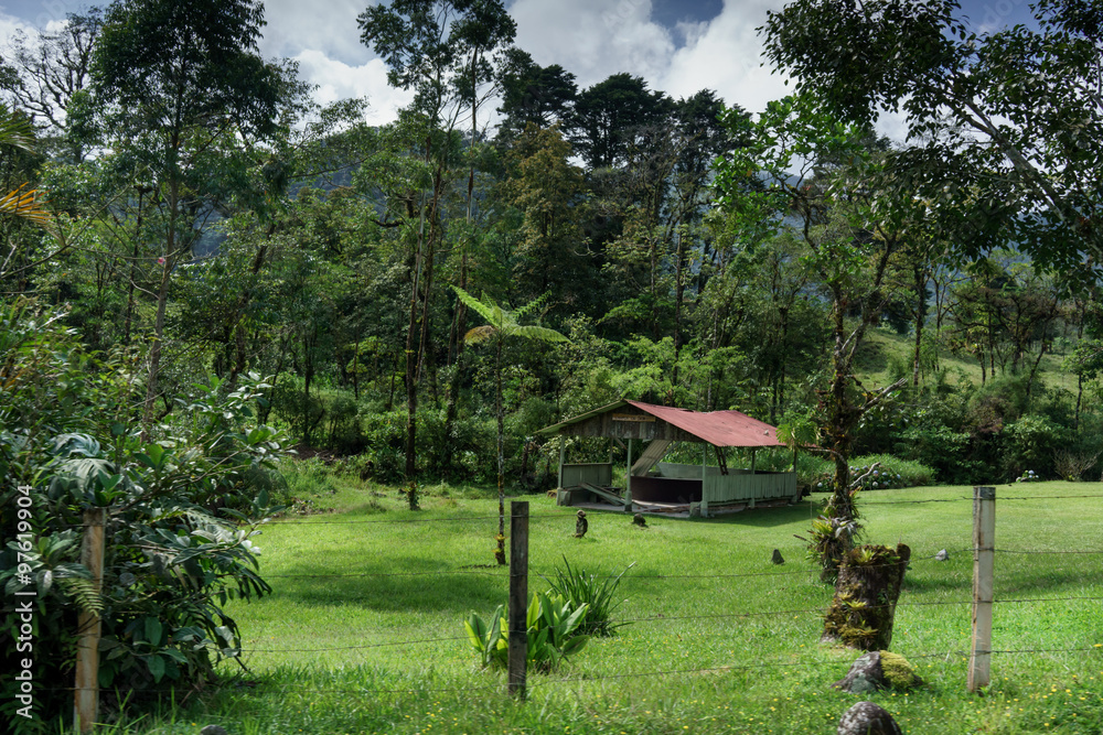 Alone hut on field in a forest, Costa Rica Alone hut on field in a forest, Costa Rica