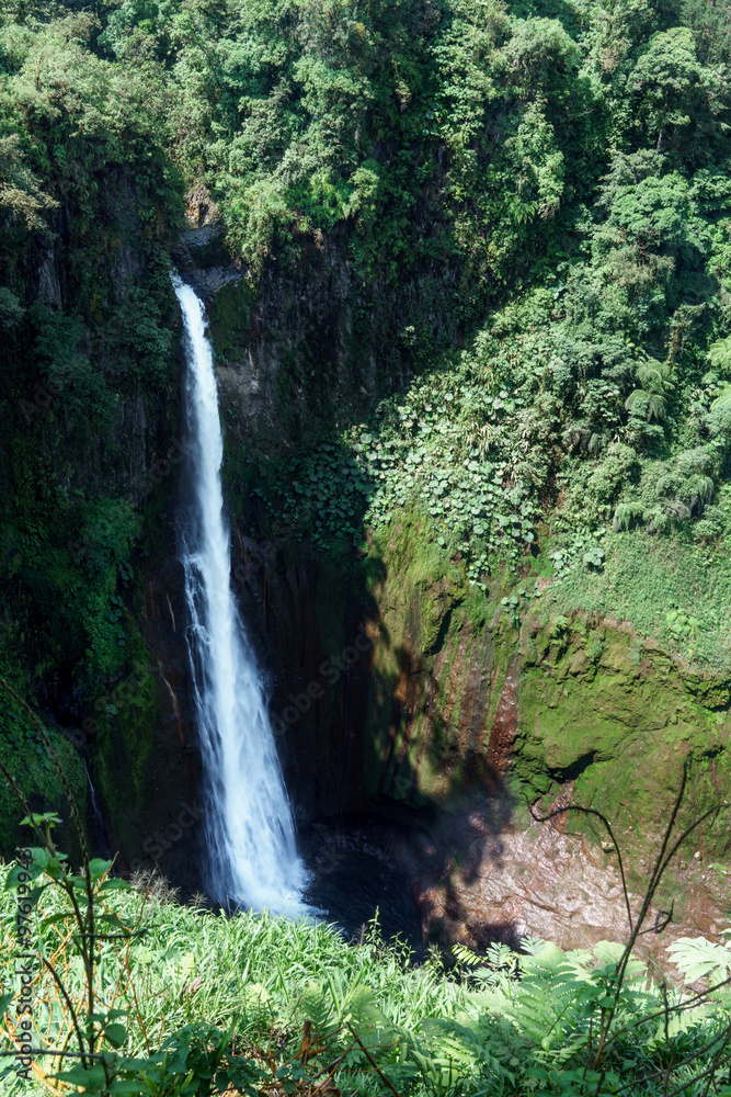 High angle view of La Fortuna Waterfall in a forest, Alajuela Province, Costa Rica