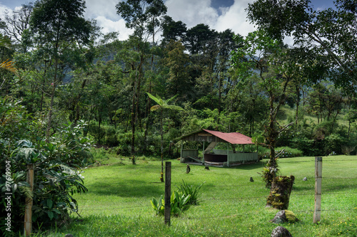 Alone hut on field in a forest, Costa Rica