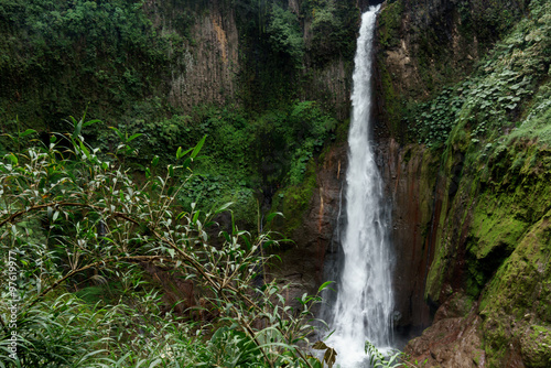 High angle view of La Fortuna Waterfall in a forest  Alajuela Province  Costa Rica