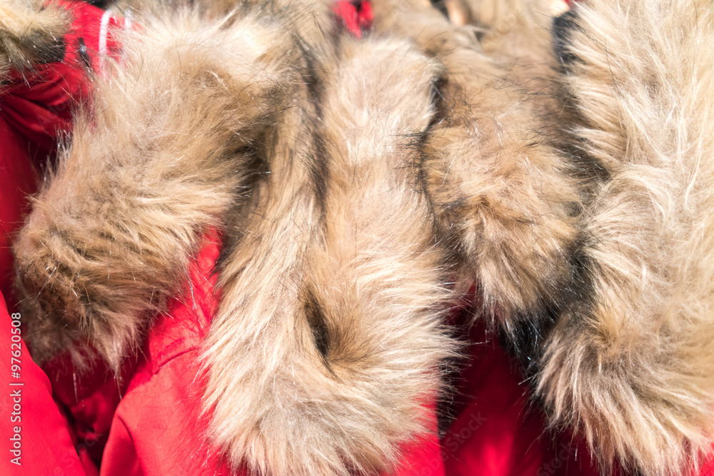 Fur coats for sale at clothes shop Fur coats for sale at clothes shop