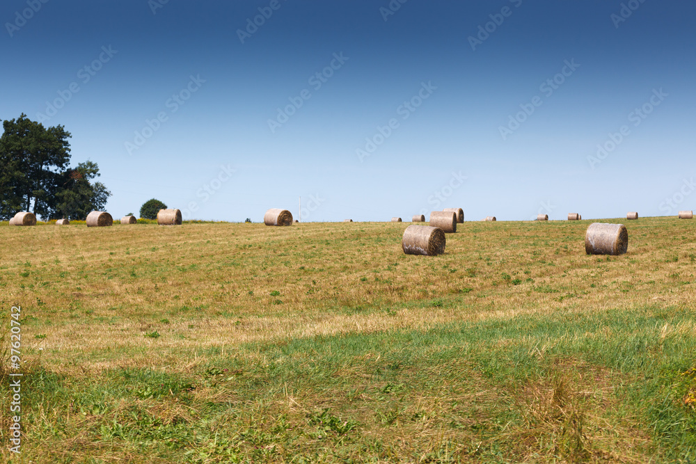 Fototapeta premium Hay bales on field against sky, Prince Edward Island, Canada