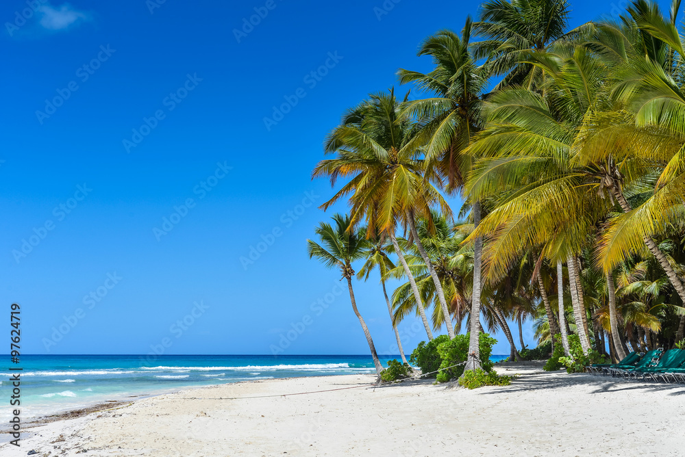 Sandy Caribbean Beach with Coconut Palm Trees and Blue Sea