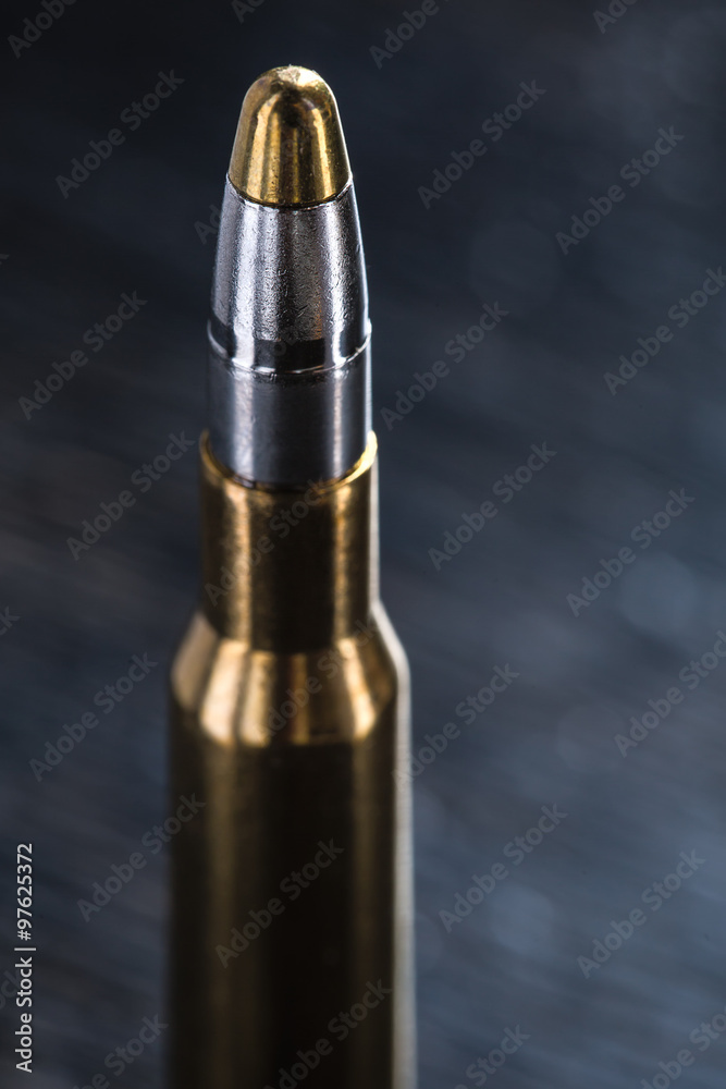 Large-caliber cartridge on a dark background Large-caliber cartridge on a dark background