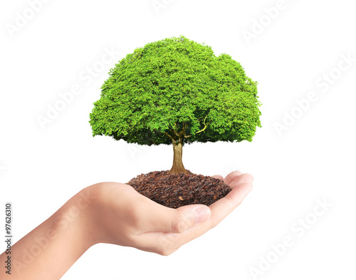 holding green plant in hand