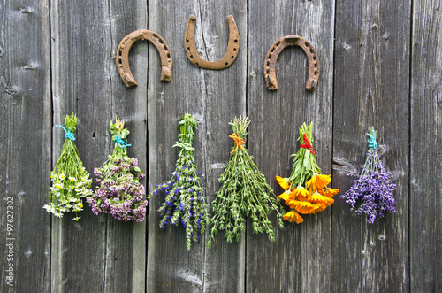 Bundles  medical herbs and horseshoes hanging on wooden wall