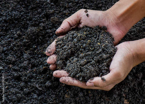 Hands holding soil