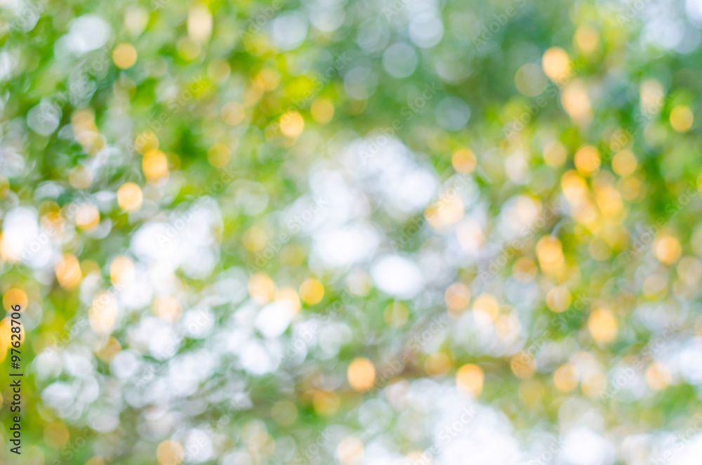 Fototapeta premium Green Bokeh texture or background, blur circle.