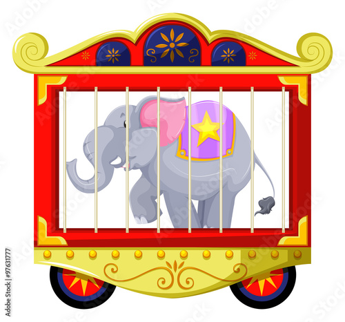 Gray elephant in the circus cage