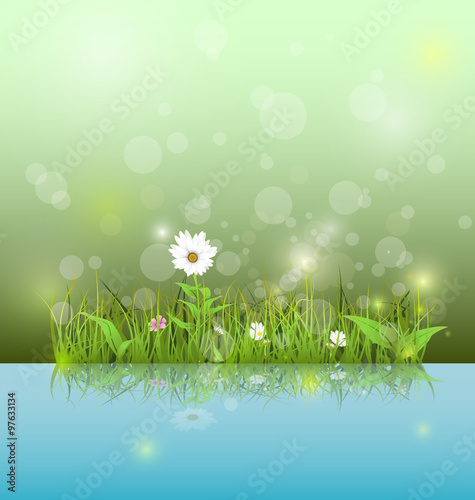 Vector illustration Green grass and leaves with white daisy  wildflower and shadow reflection on light blue water. Soft green color with bokeh background. Spring flower background 
