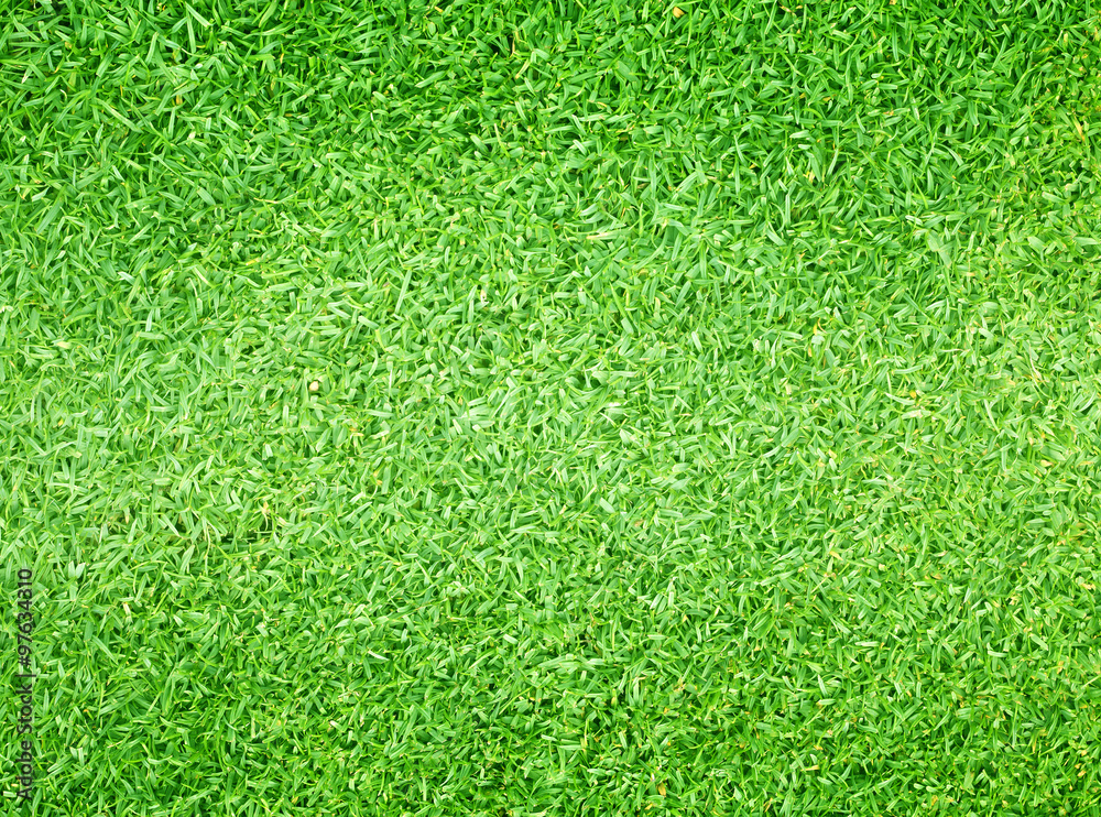 Golf Courses green lawn - obrazy, fototapety, plakaty 