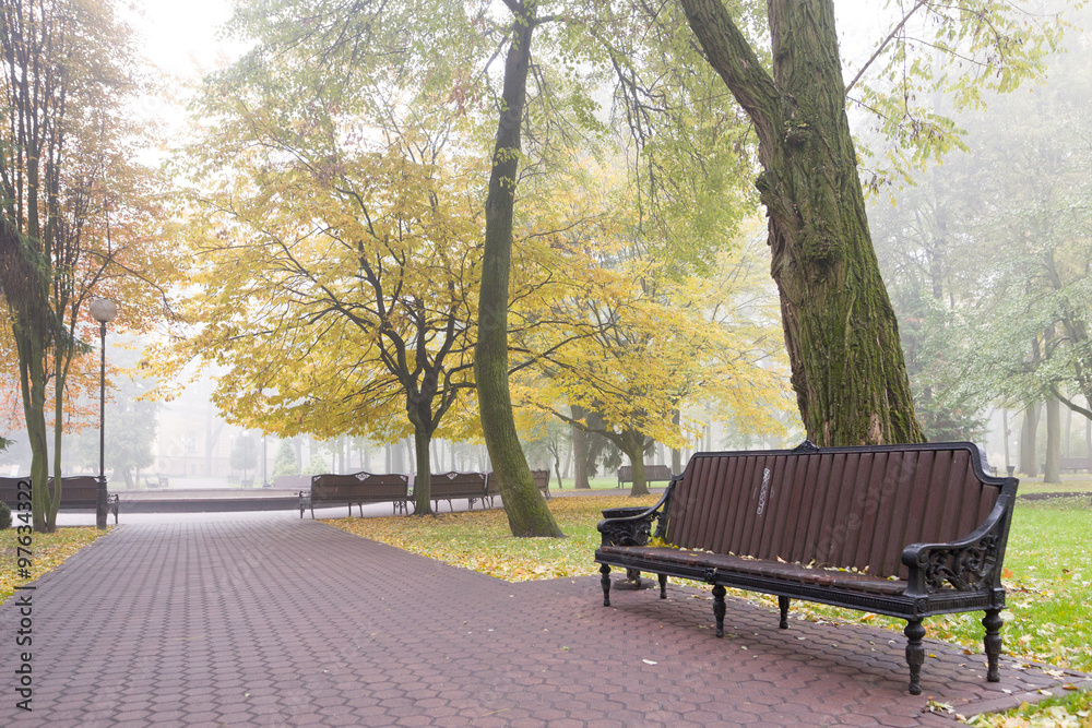 Gomel / Belarus - October 23, 2015: Morning. walk in the park Lu