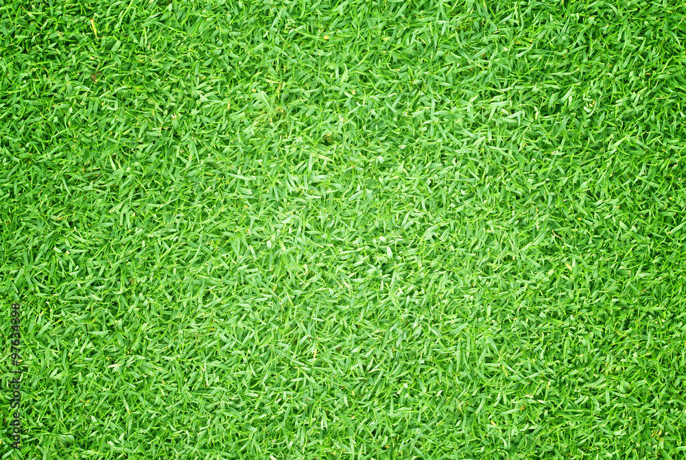 Golf Courses green lawn - obrazy, fototapety, plakaty 