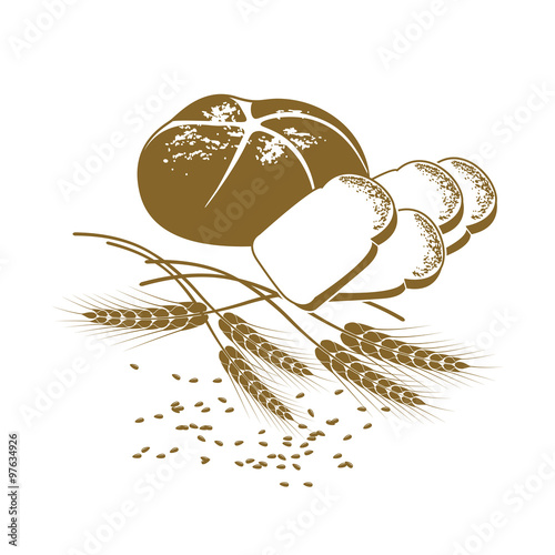Vector illustration of rye bread, toast bread and wheat on the w