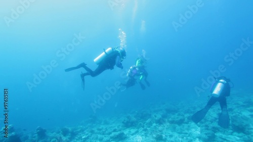 Wallpaper Mural Group of Scuba Divers Swimming in Ocean Blue Torontodigital.ca