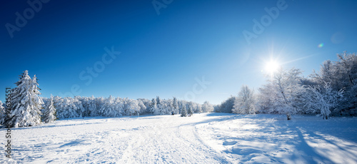 Paysage d'hiver panoramique