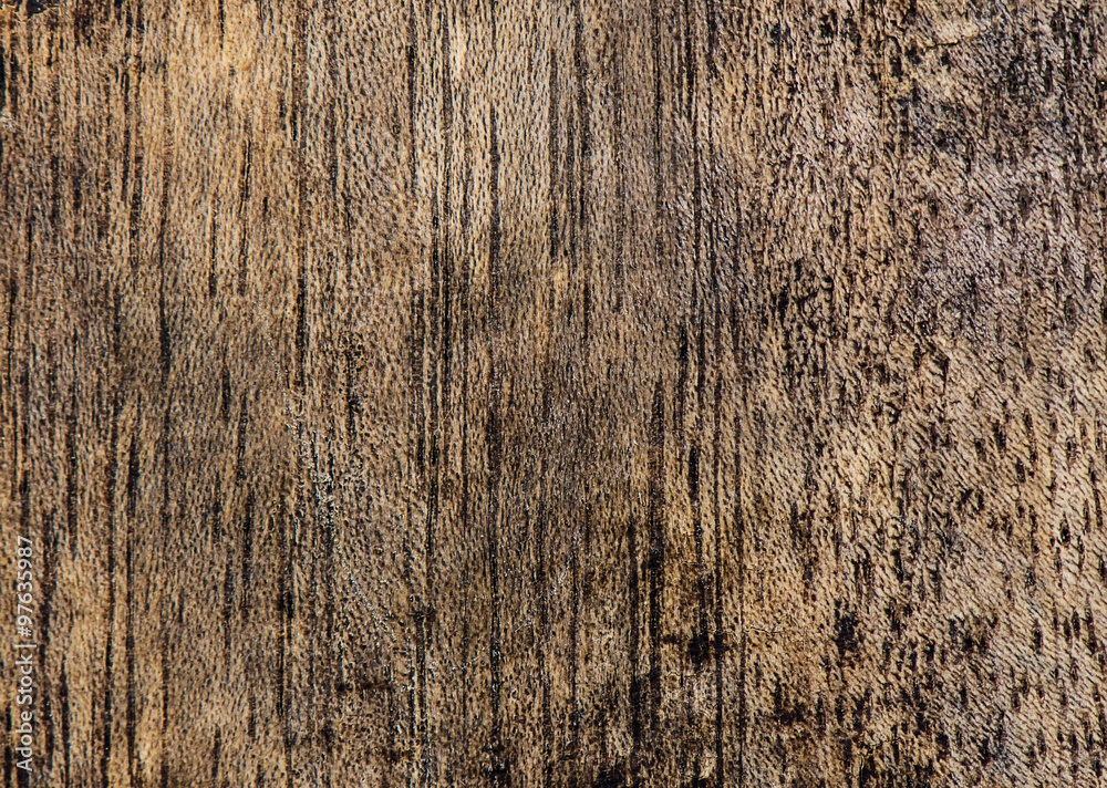 Fototapeta premium Grunge old wood texture or background, natural wood pattern.