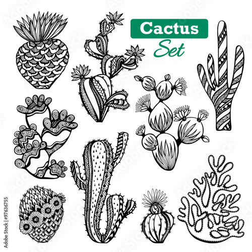 Cactus Icons Set  photo