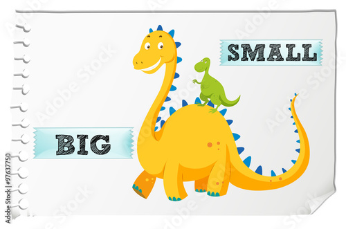 Opposite adjectives with big and small