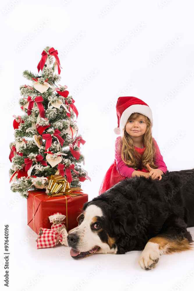 Bambina con cane bovaro e albero di Natale con regali