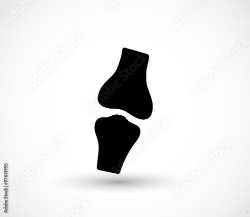 Bones icon vector