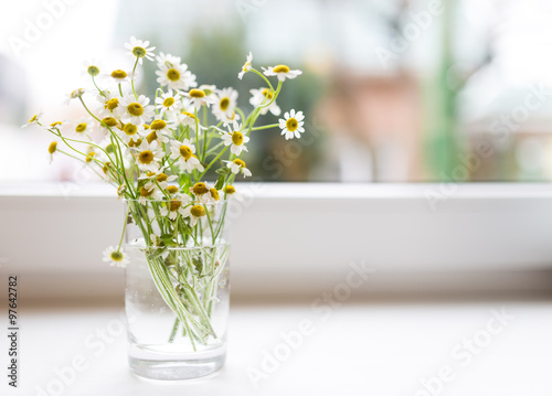 Fototapeta Naklejka Na Ścianę i Meble -  Bouquet of chamomiles flowers on the window sill