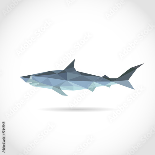 Polygon shark. low poly design in triangles