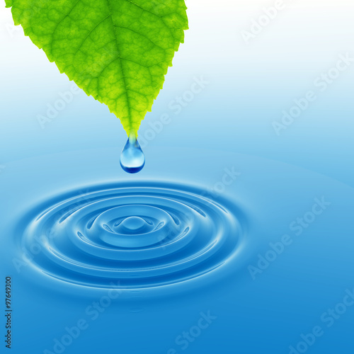 Green leaf with water drop and ripple