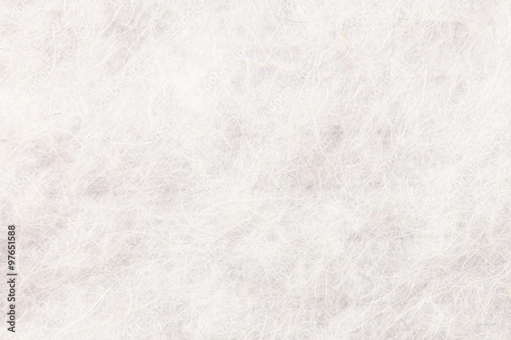 Fototapeta premium 背景素材 和紙 白