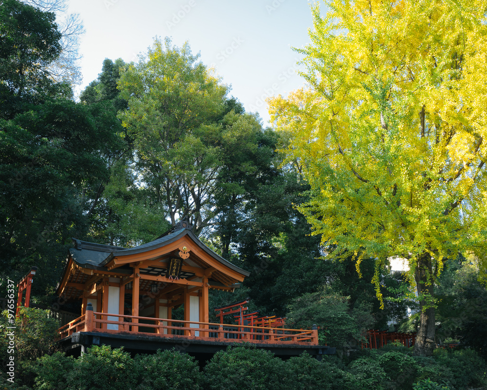 Autumn leaves and an old Shinto shrine, Nezu, Tokyo, Japan Autumn leaves and an old Shinto shrine, Nezu, Tokyo, Japan