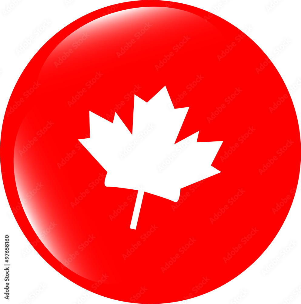 Obraz premium vector maple leaf icon glassy web button