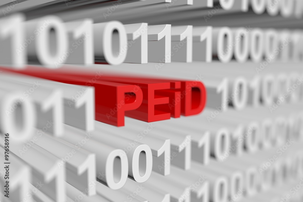 PEiD is represented as a binary code with blurred background