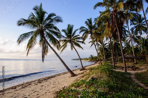 Title  Tanzania beach    A picture of a private beach taken where we stayed in Tanzania