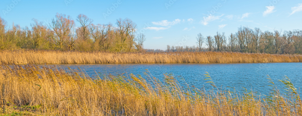 Shore of a sunny lake in autumn