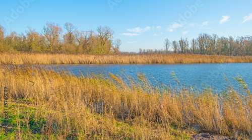 Shore of a sunny lake in autumn