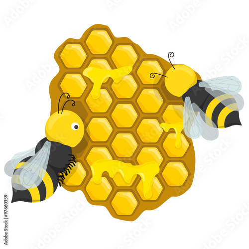 honeycombs with honey bees