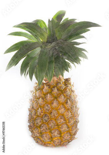 pinaple isolated