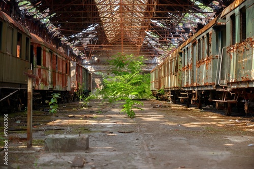 Cargo trains in old train depot © Sved Oliver